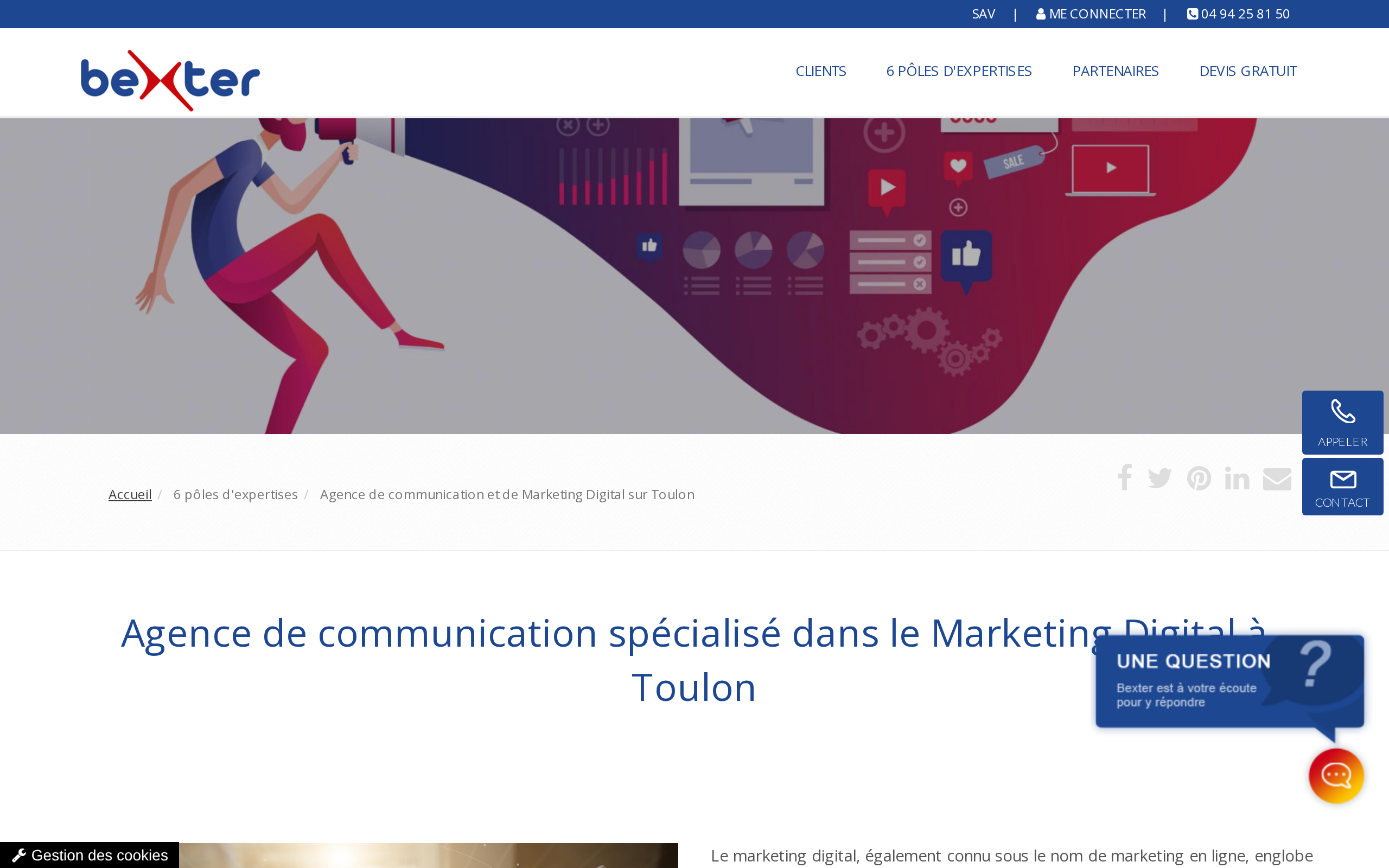 Aperçu du site BEXTER