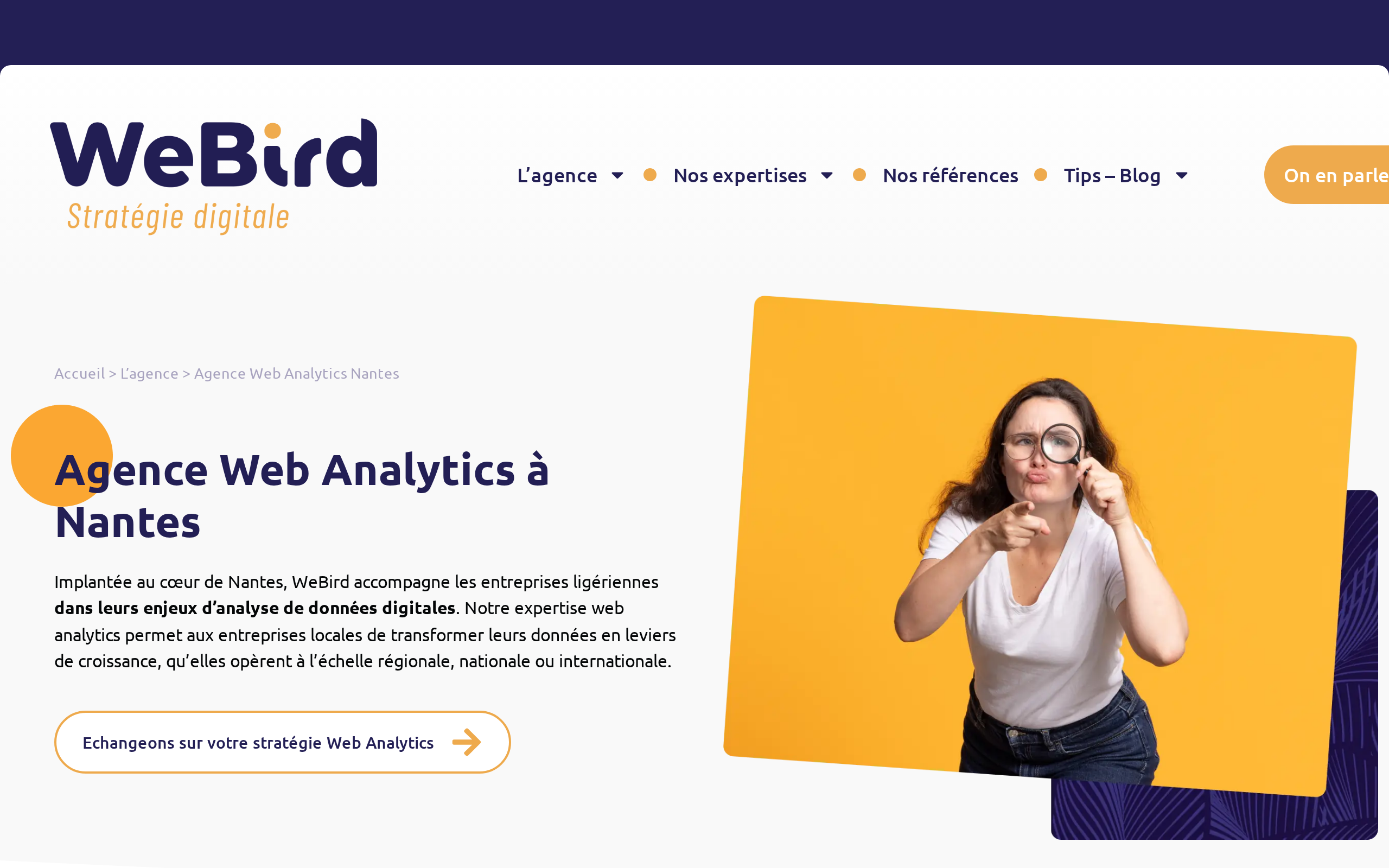 Aperçu du site WeBird