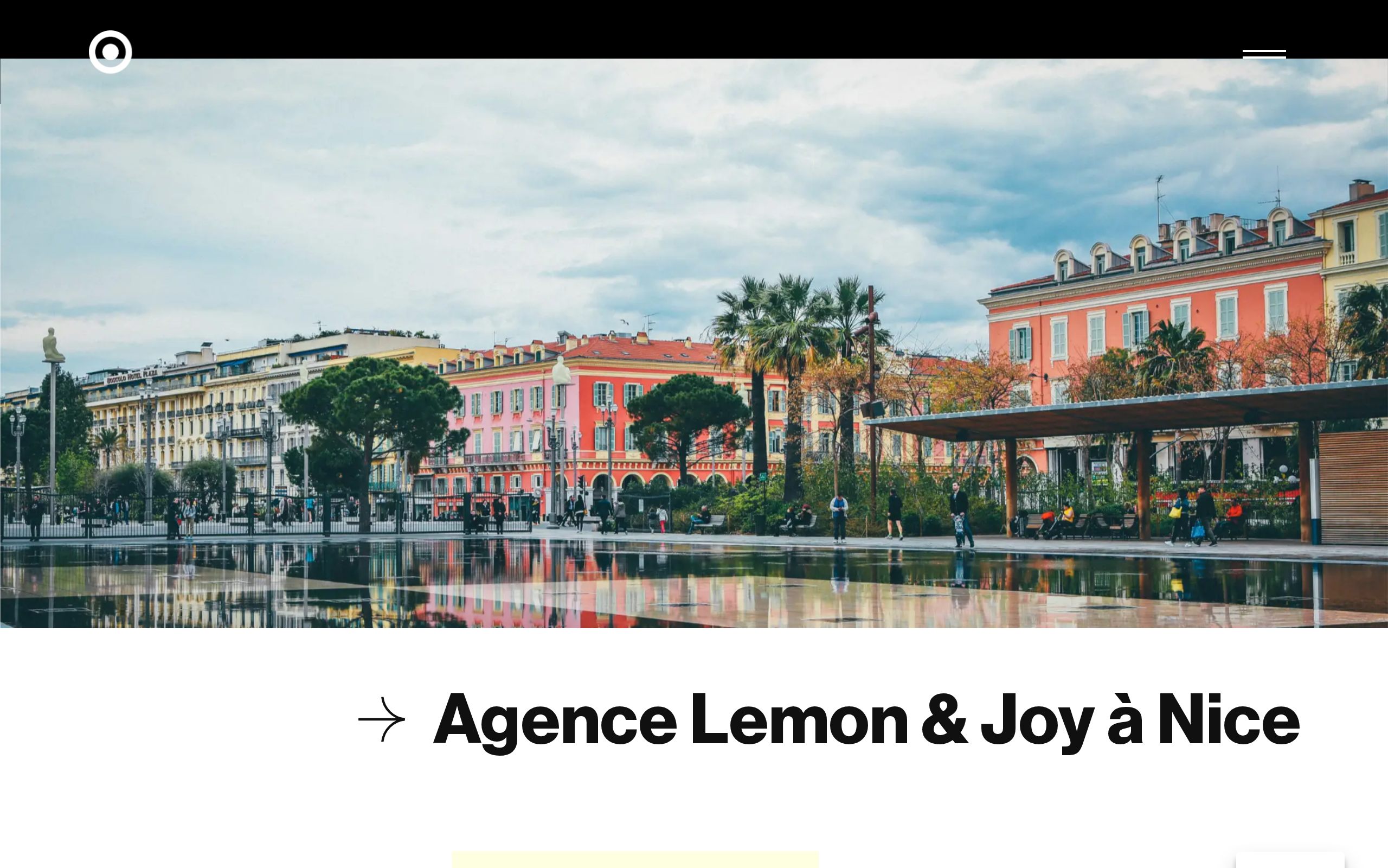 Aperçu du site Lemon&Joy