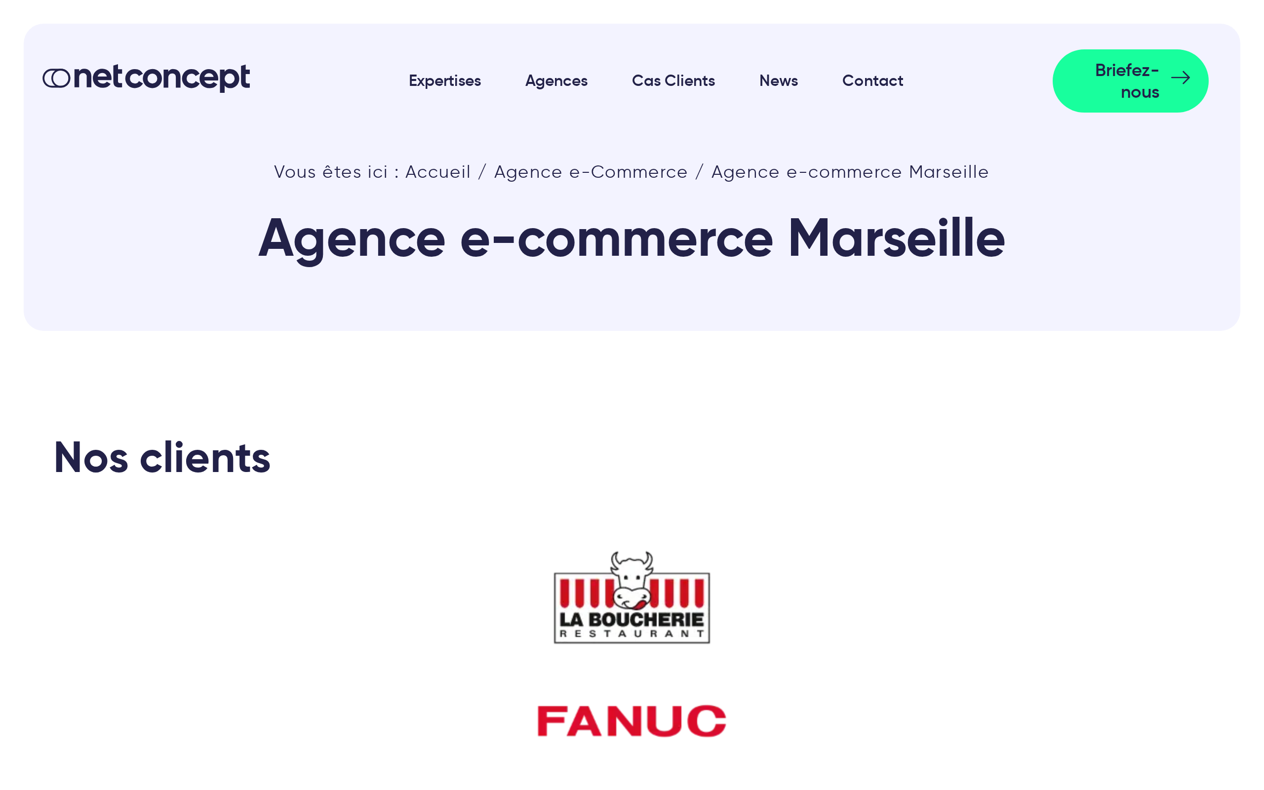 Aperçu du site Net Concept