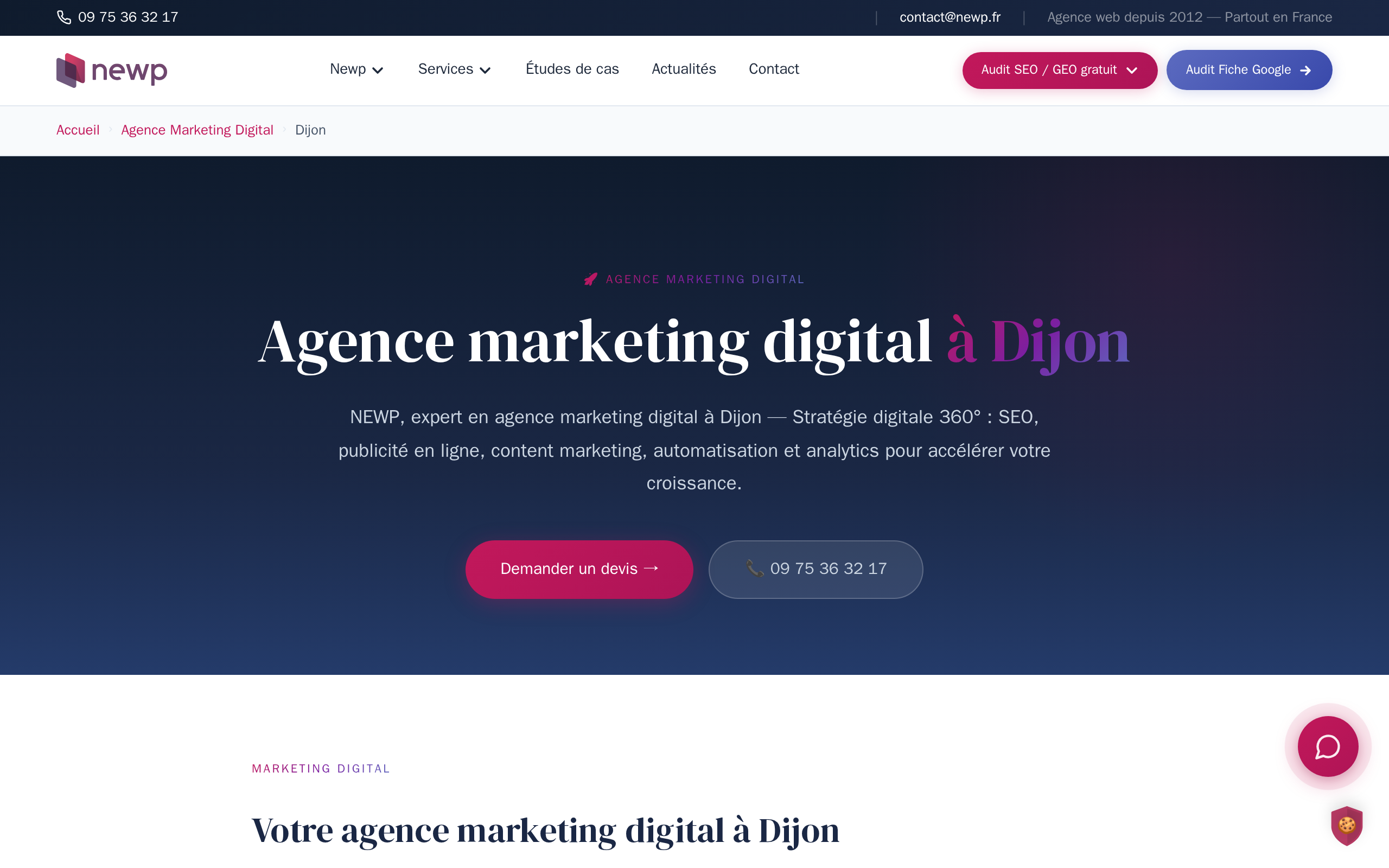 Aperçu du site NEWP