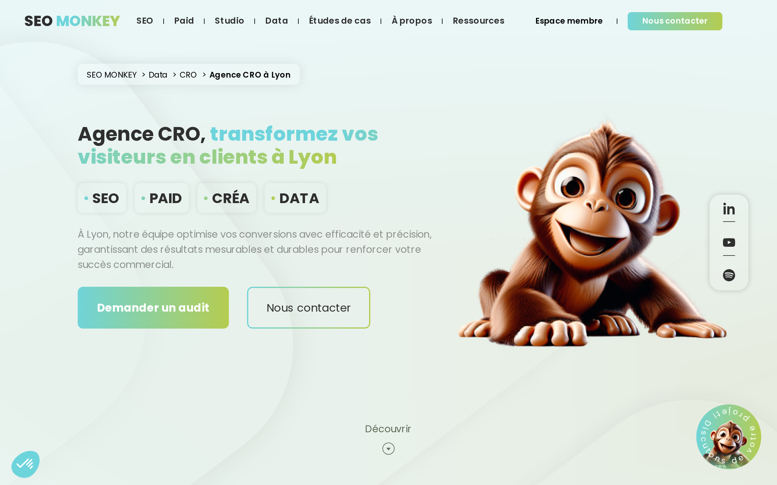 Aperçu du site SEO MONKEY